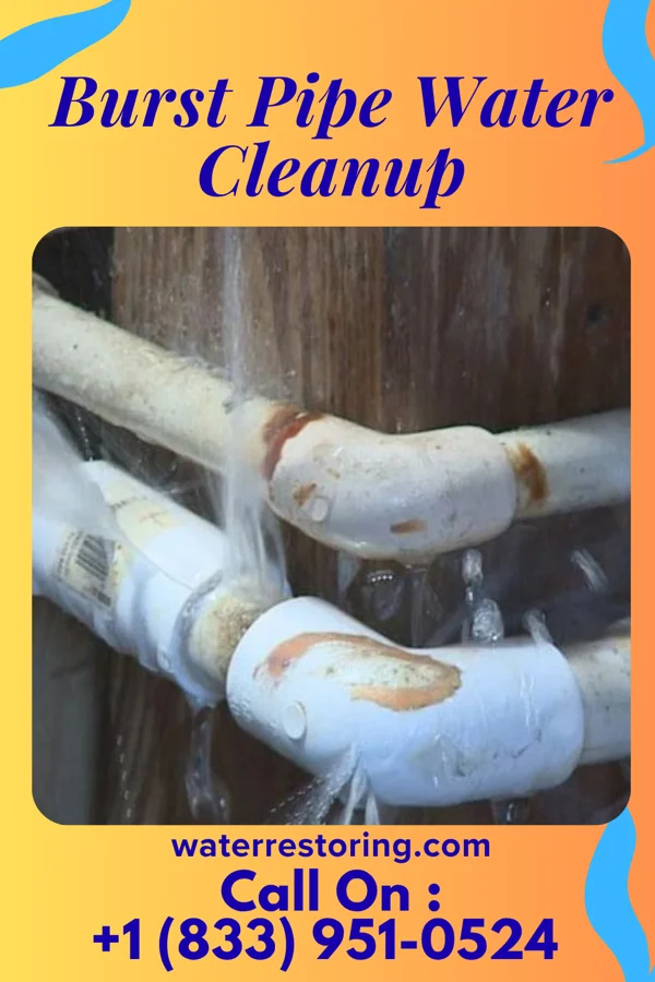 Burst Pipe Water Cleanup in Smithville, GA